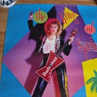 Vintage 1987 Budweiser King Of Spring Break    87 Beer Poster Ft Lauderdale Fl