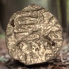 Hungary Sigismund Of Luxembourg Parvus 1387-1437 Medieval Silver Coin - C00244