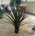 120 Cm Large Artificial Agave Spike 2 Pcs Fake Plant For Home Patio Garden Decor