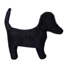 Adorable Spooky   dog Skeleton Accent Pillow   14 x12  Nwt