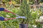 Corona Hs15340cc Precisioncut Aluminum Hedge Shear Lightweight
