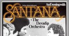 Santana     Rare Vintage Original 1978 Concert Poster  inner Secrets 
