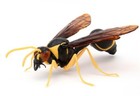 Bandai Gashapon Potter Wasp Action Figure Micado Potter Wasp  12cm Import Japan