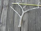 Manzanita Bird Perch Aquarium Reptile Home yard Decor