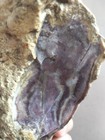 997 Grams Rough Dark Red Maroon Purple Agate Jasper Specimen Unique Collection