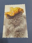 Lot Of 3 Vintage Hallmark Cat Photo Postcards