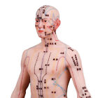 Acupuncture Human Model 18 9  Acupoint Doll Chinese Acupuncture Point Display