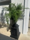 Antique Cast Iron 5    Black Planter