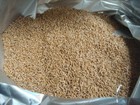 30 Lbs  Usda-certified Organic Heirloom Turkey Red Hard Red Winter Wheat Kernels
