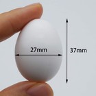 5 Pcs Hatching Eggs For Parrots  Macaws  Cockatoos  And Eclectus - 37mm X 27mm