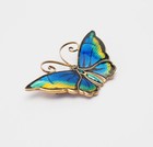 Large Gilt Sterling Silver Blue Green Yellow Enamel Butterfly Pin David Andersen