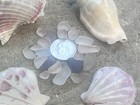Genuine Surf Tumbled Seaglass Pieces Mixed Colors Beach Sea Glass Lot L100