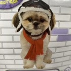 Rubies Pet Shop Boutique Aviator Hat And Scarf Dog Costume Size M l