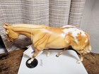 Breyer Limited Edition Appaloosa Pleasure  Signed Artist Piece Sommer Prosser 