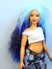 Barbie Doll Wig Size 4 Tibetan Lamb Mohair Ooak Custom  72 Multi Blue Gradient