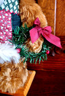 Tri Russ 2002 Bear Plush Vtg 16  Stand W Wood Base Santa Xmas Wreath Gloves