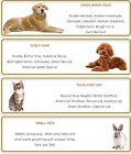 Pet Dog Cat Clippers Grooming Hair Trimmer Groomer Shaver Razor Quiet Clipper