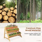 3-tier Raised Garden Bed W 2 Side Hooks Storage Shelf Bed Liner