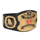 Wwe Raw Ruthless Aggression World Tag Team Championship Replica Title Belt