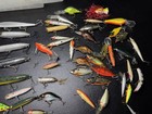 Vintage Fishing Lure Lot Of 50  Lures Heddon  Bagley  Rapala  Meadow Mouse