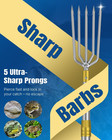 Fishing Spear  Stainless Steel Frog Gig Gaff With Long Pole   Flounder
