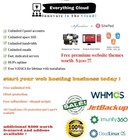 Special Offer   Reseller Web Hosting With Cpanel whm 1 Year Full White Labeled