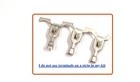 Delphi Packard Gm 56 Series Connector Kit  2  172 Pieces 