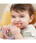 Koalazoom Baby Fruit Feeder Pacifier silicone Fruit Teether Baby Feeding Supplie