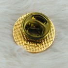 Vtg Illinois Freemason 50 Year Member Service Award Enamel Lapel Pin