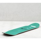 Darkstar Premium Complete Skateboard Bachinsky Flowers 8 25  Independent Satori