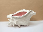 Vtg Atlantic Mold Sea Shell Conch Ceramic Planter Decor-white pink Interior