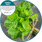 Wave 3d Urinal Screen Virtually Eliminates Urine Splash 30 Day Use Easy Installa