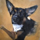 Custom Pet Oil Painting   Art By June Hankins Dog Cat Any Animal 8 X 10 From Pic