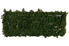 Artificial Greenery Wall Panels W  Led Lights