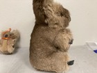 Vtg Lot Of 2 Australia Australian Koala Bear Real Fur Stuffed Animal Hard Body