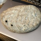 Natural Abalone Shell Smudging Bowl With Iridescent Interior   Large 8 1 2  X 7 
