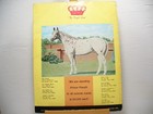 531 Vintage Appaloosa News Magazine Original January 1975