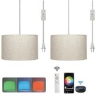 Hanging Lamp Plug In Pendant Light 2 Pack With Remote Control  15ft Beige