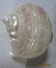Engraved Mermaid Dolphin  Pearlized Turbo 6  Shell Collectible Emdptsc-148s