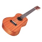Mint Cordoba 03904 U1s Soprano Uke Ukulele  All Mahogany Body  Pau Ferro Fretb