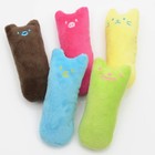 Pet Cat Kitten Catnip Toys Chewing Teeth Grinding Thumb Interactive Funny Toy