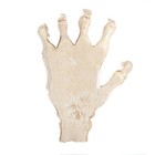 Skeleton Hand Ring Holder Resin Gothic Decor Jewelry Display Halloween Stand