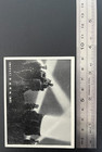 Wwii Japanese Military Photo Card  20937