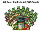 20-50 Variety Heirloom Vegetable Herb Seeds Kit 10000-50000 Bulk Garden Seed Lot