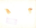 Unknown Film Scene  1960s  Vintage Hollywood Press Movie Collectable Photo 1498k