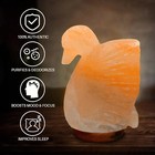 Swan Shaped Salt Rock Lamp - 100  Organic   Authentic Himalayan Salt Lamp Com   
