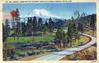 Mt  Shasta Pacific Hwy California Or State Line Posted Vintage Linen Post Card 