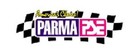Parma 16d Cruiser - Balanced  560 Dia  Armature 1 24 Slot Car Motor