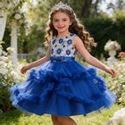 Children Sleeveless Princess Tutu Dress Kids Girls Evening Gown Wedding Birthday