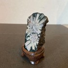 Japanese Suiseki Bonseki Chrysanthemum Stone Neo Valley Gifu W base 120g